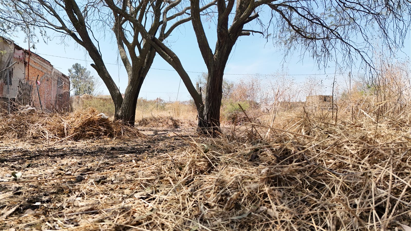 Terreno con árboles en Jalisco